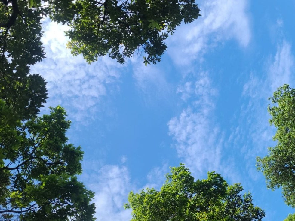 dine𝝑𝑒 k/ia tweet media