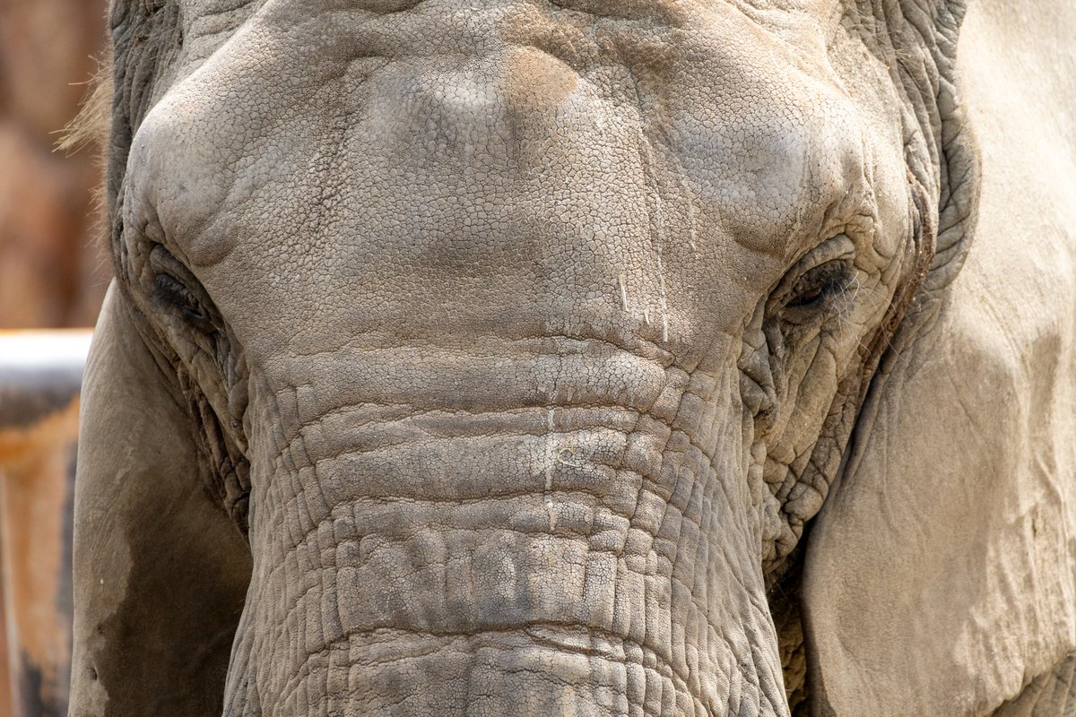 豆目(まめめ) tweet media