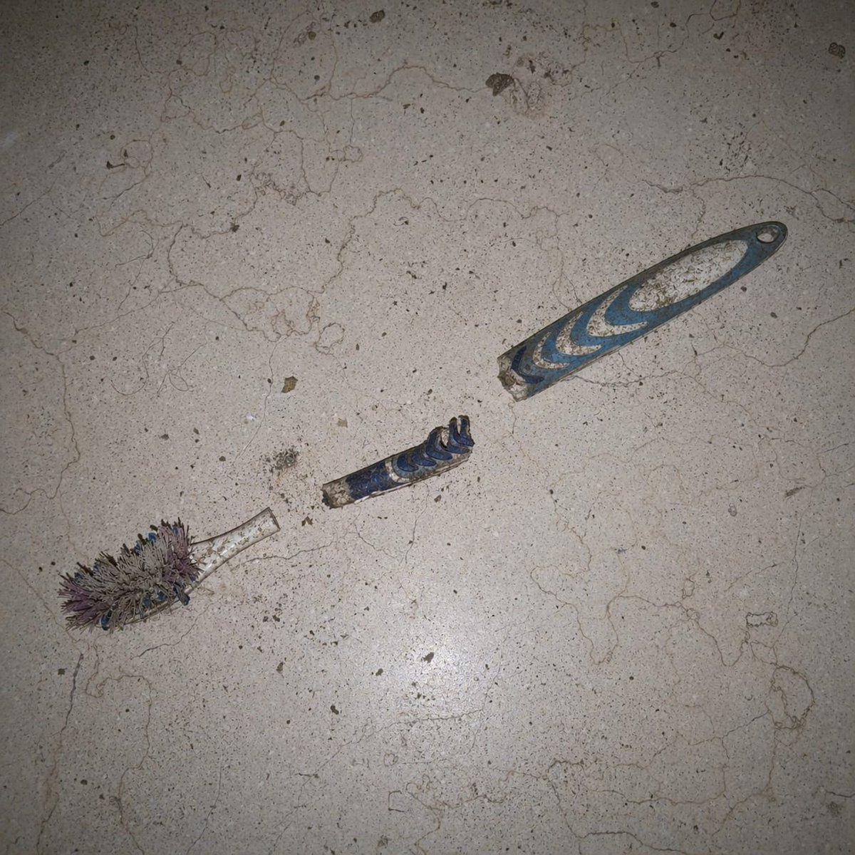 fascundo🆘️ tweet media