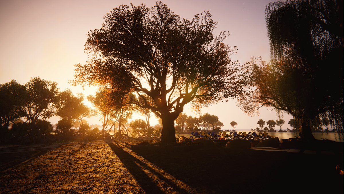 VithHime's tweet image. No matter how silly it may seem, appreciate the simple things in life 🩷🩷

#OnceHuman #gaming #openworld
#VPWorld #VirtualPhotography
#VPLab #VPSAT #VPtree
#survival #GamingCommunity
#ワンスヒューマン