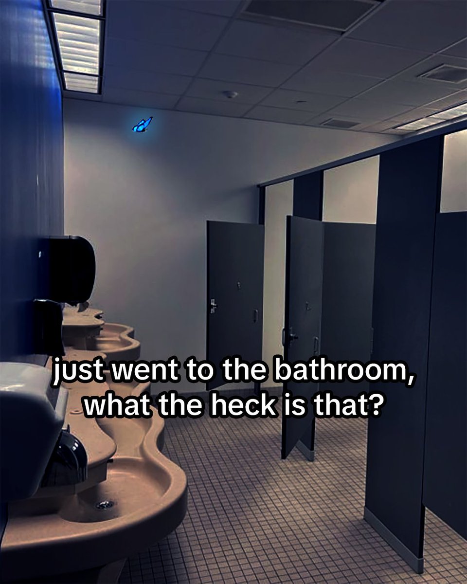 Life is Strange tweet media