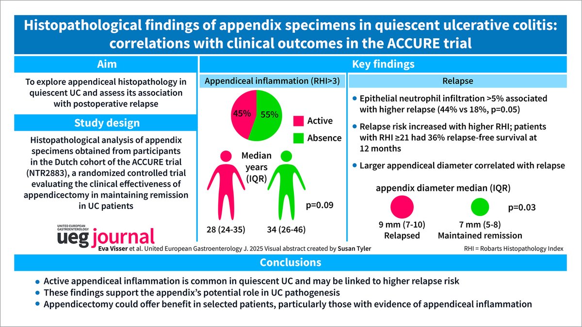 UEGJournal's tweet image. 🔬Appendix inflammation predicts relapse in #UC

ACCURE cohort (n=65):
🔸&amp;gt;50% had active inflammation despite remission
🔸Larger appendix → ↑relapse (9 vs 7 mm)
🔸↑RHI → ↓relapse-free survival
🔸PARP linked to inflammation

📖 #OpenAccess 👉 bit.ly/4tvYyHn