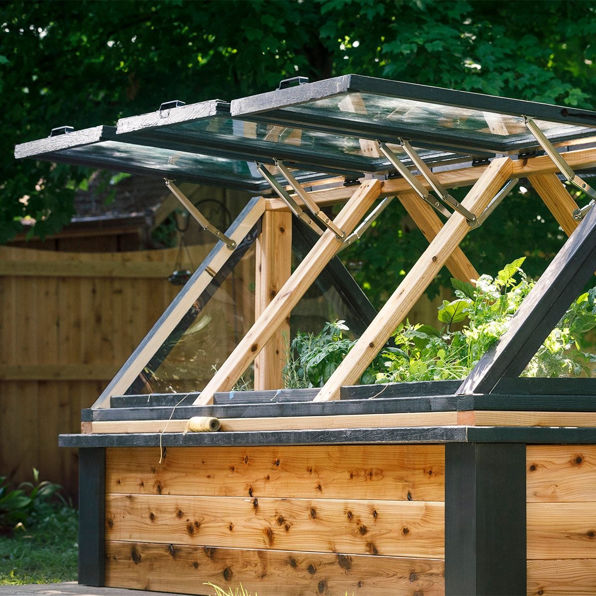 SMWesterly's tweet image. Enjoy gardening year-round and keep insects &amp;amp; animals away with this great Mini Greenhouse you can build using recycled windows!  zurl.co/XME0F 

#hometips #Gardening #DIY #recycle