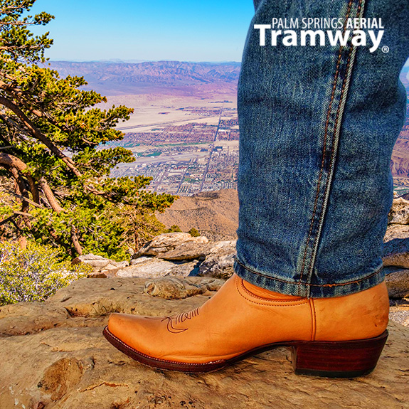 Palm Springs Aerial Tramway tweet media