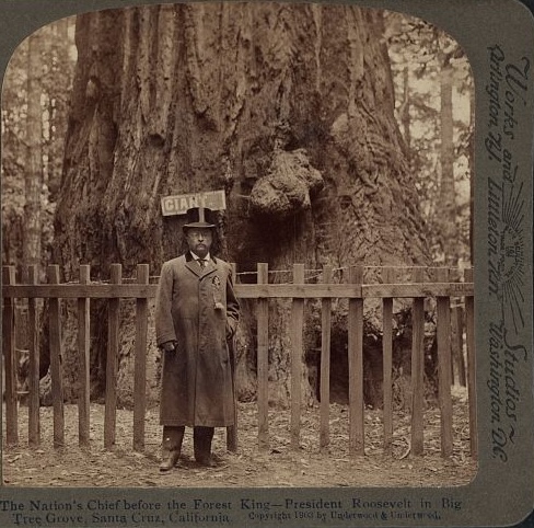 Theodore Roosevelt Presidential Library tweet media