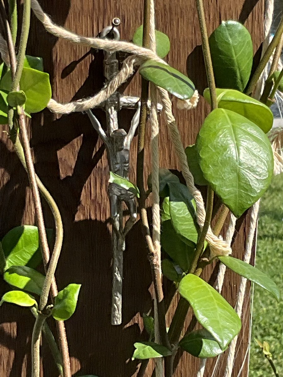 -djbf floridaman tweet media