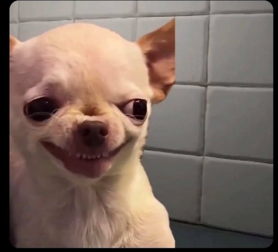 Chris Apollo Okolong tweet media