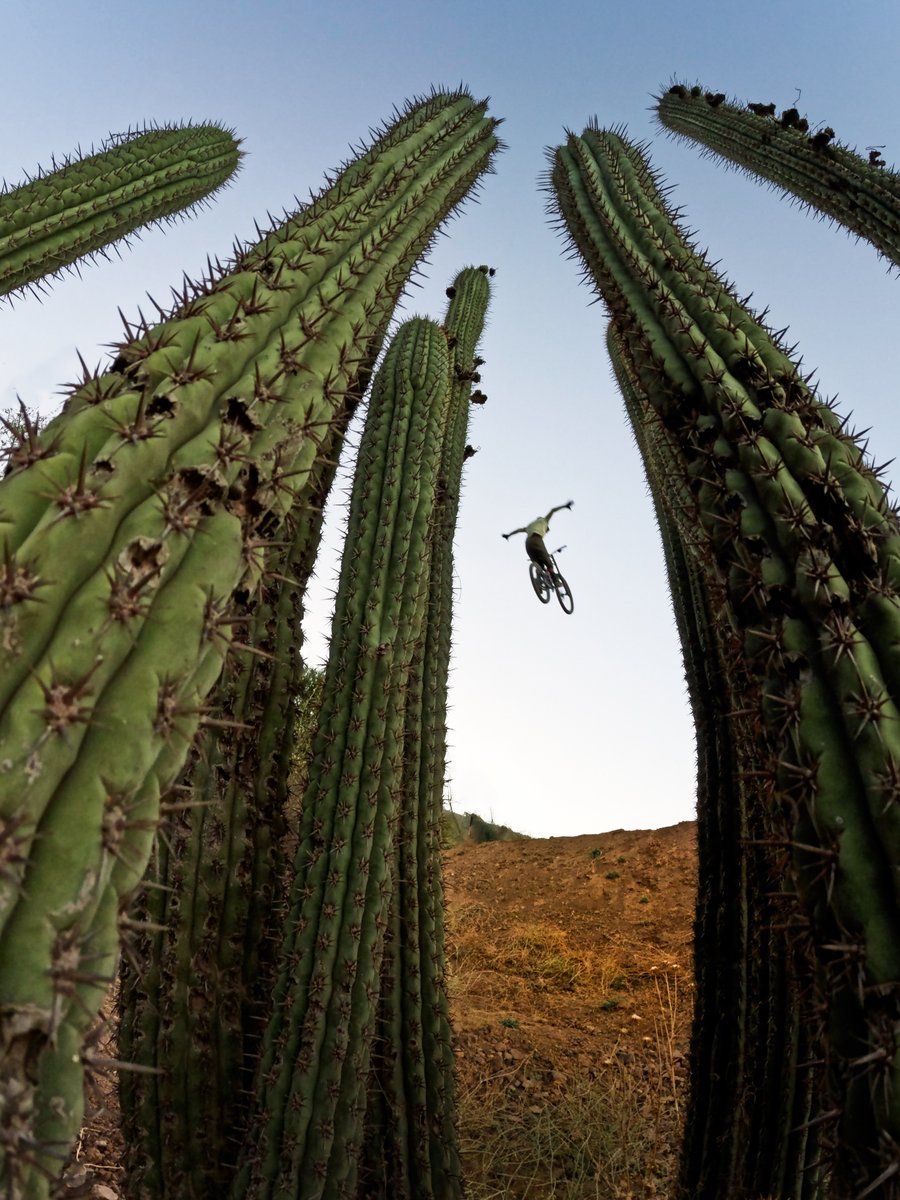 GoPro's tweet image. Photo Dump Friday: #GoProBike season is upon us, are you ready? 🚲

🚲 GoPro Family member Rodrigo Vicente
🚲 Adrian Soldado
🚲 Chris Bell
🚲 GoPro Athlete Domi Ohaco

#GoPro #MTB #MountainBiking #Bike
