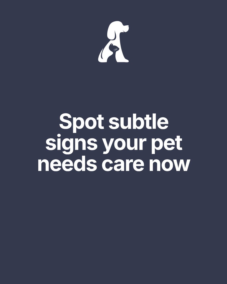 Is your pet showing subtle changes that you might be overlooking? Quiet signs like decreased activity, less appetite, or unusual behavior can signal they need care sooner than you think. Early vet visits save lives.