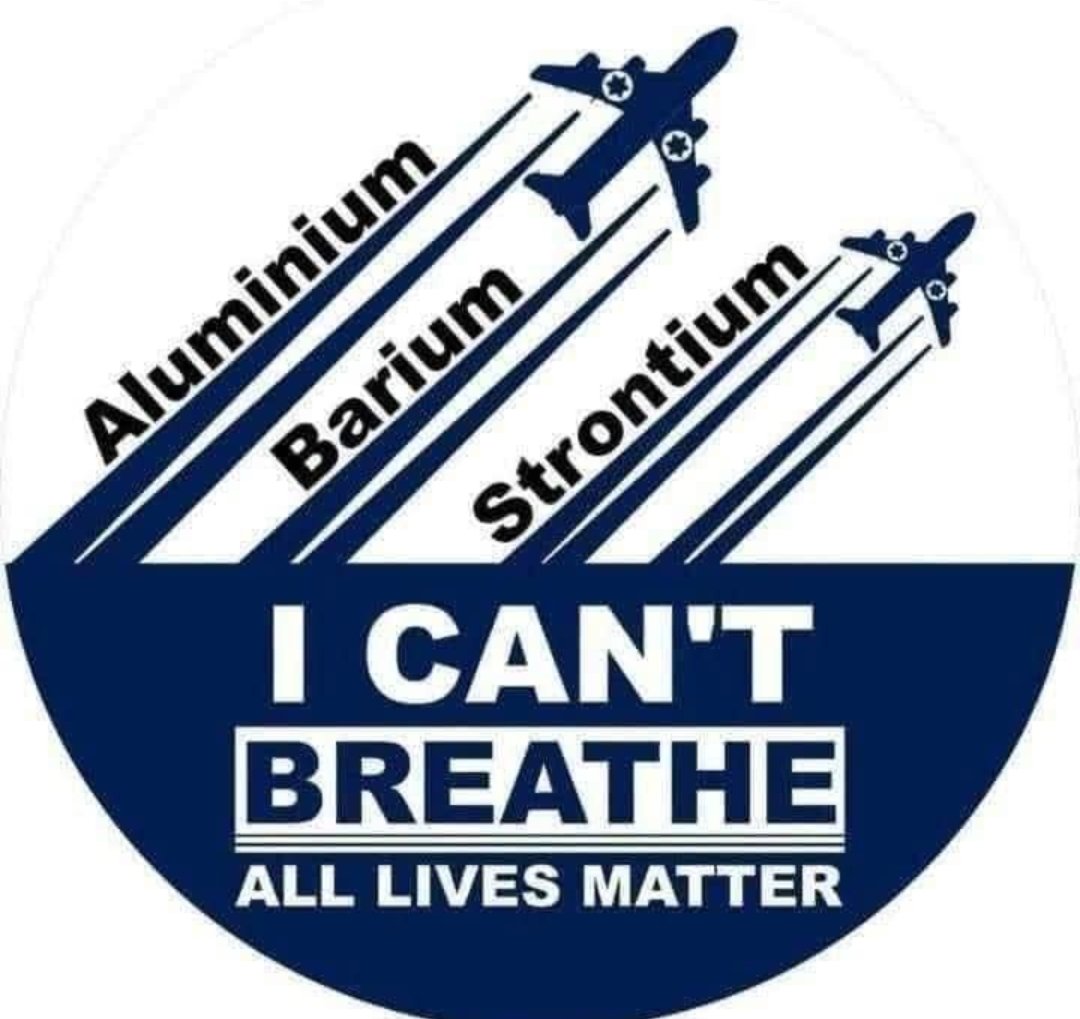 Tingieter tweet media