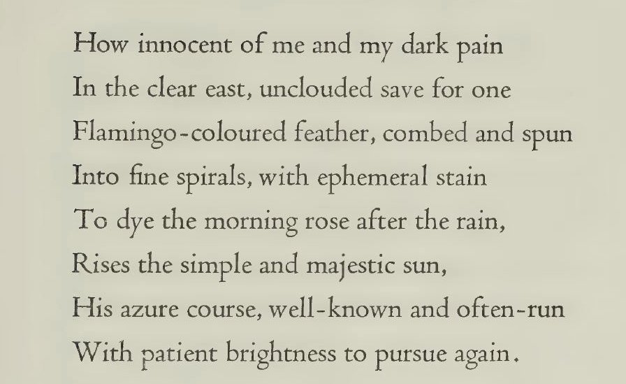 Isidro Li tweet media