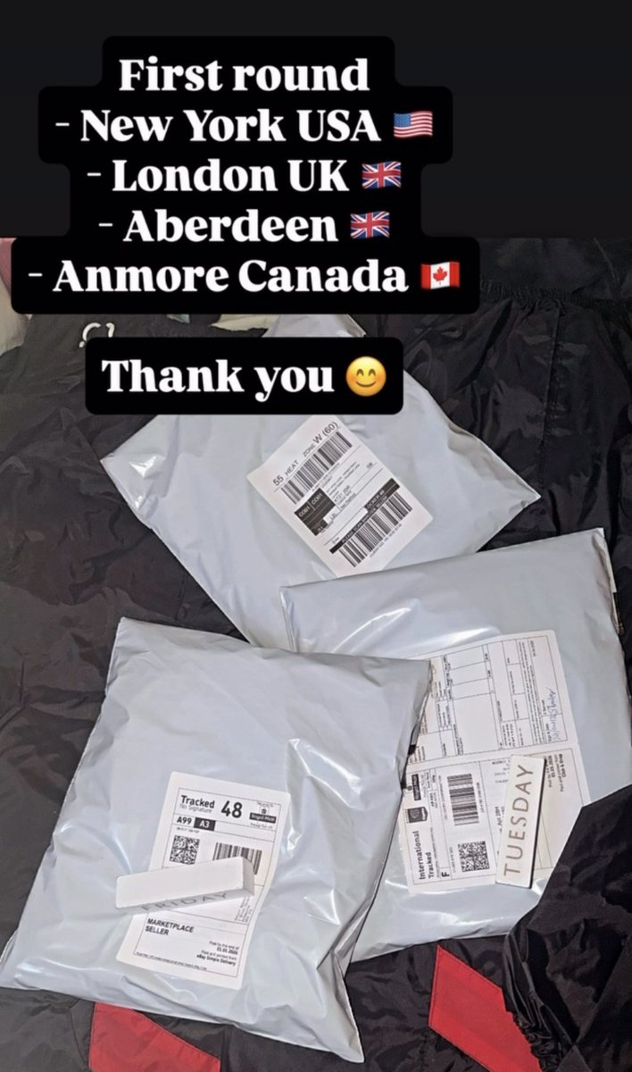 BrocLad_official tweet media