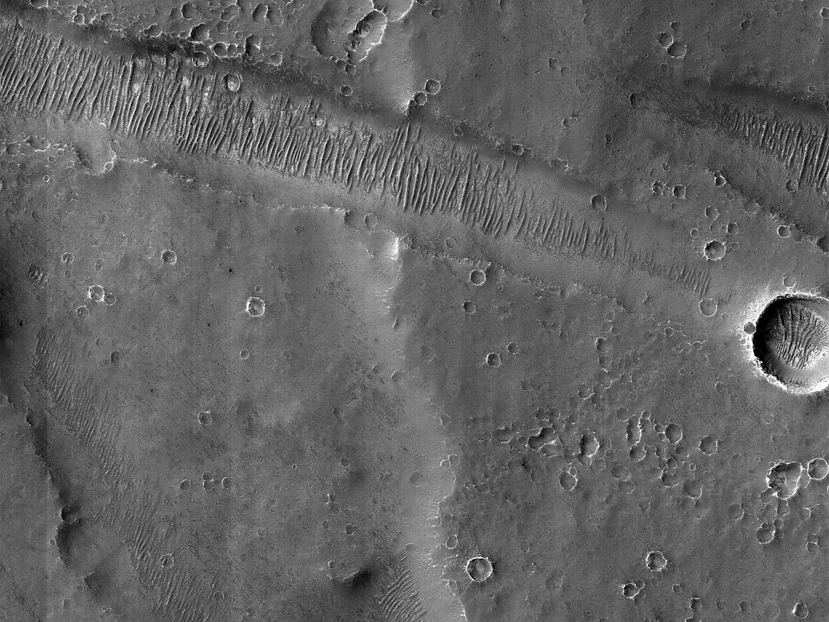 HiRISE's tweet image. HiPOD: The Two Graben of Melas Chasma

In this image, we see a North-South trending graben crosscut by two East-West trending ones. Our observation may provide deeper insight into the regional structural geology of the Valles Marineris region.

uahirise.org/hipod/ESP_0769…
#Mars