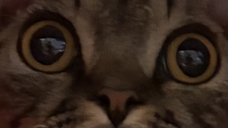 edith👽 tweet media