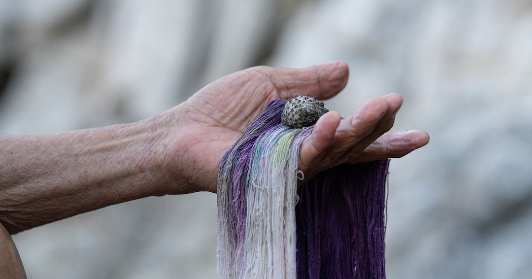 UChiCollegium's tweet photo. We were thrilled to see the research supported by our Biodiversity of Color project covered so thoroughly as the lead story in this week's Science section of the @nytimes, featuring reporting by Zoë Lescaze and photos by María José Zavala Balcázar:

https://t.co/LX65GD1Imx https://t.co/1j1r8Dok6y