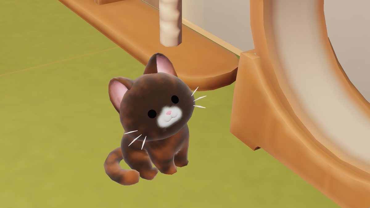 °ᜊ° ⋆꙳✮ tweet media