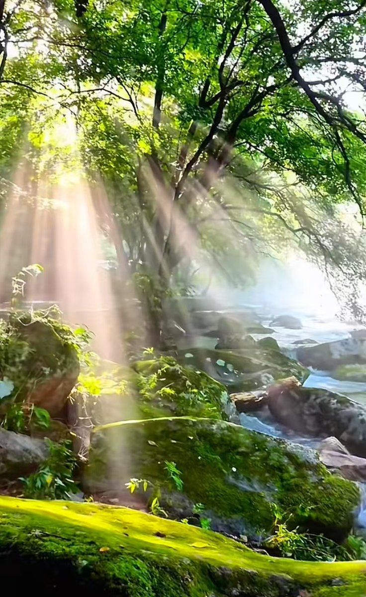 afdasdsadas tweet media