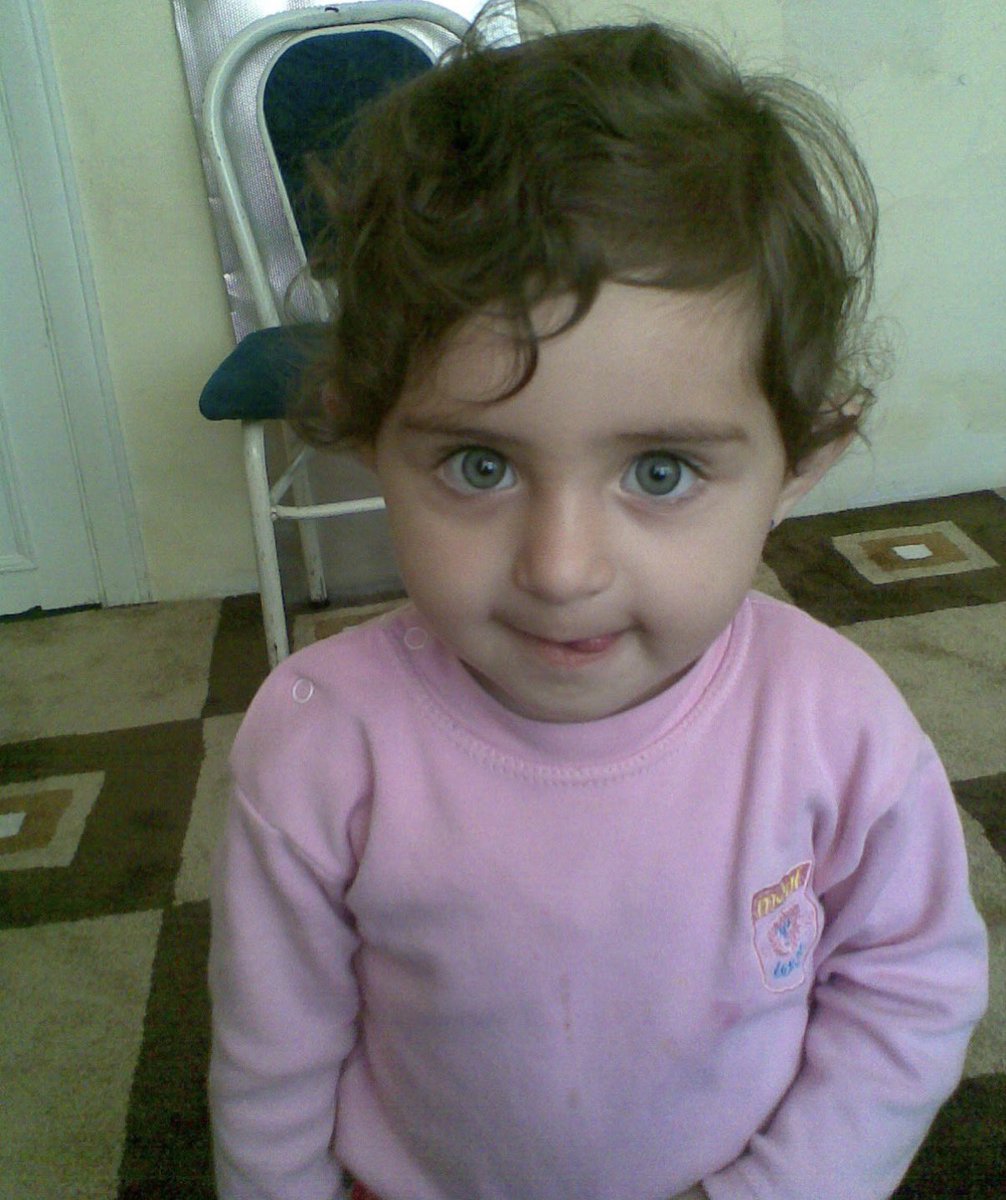 Zeynep tweet media