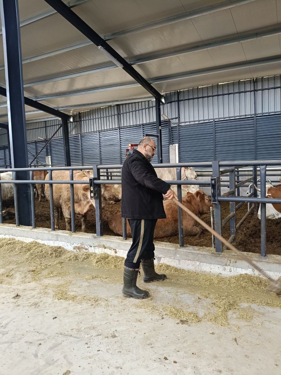 Mehmet Mustafa Gürban tweet media