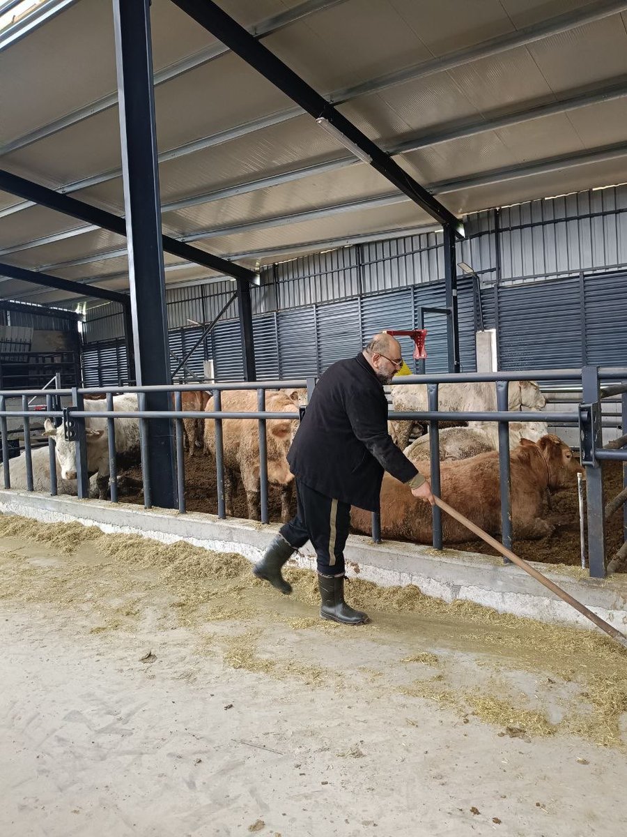 Mehmet Mustafa Gürban tweet media