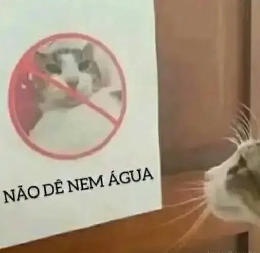 Wazowski👁️👄 tweet media