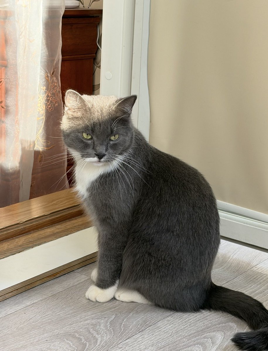 Mukavaa perjantai-iltaa ja takatalvea kaikille :) alkaa keli jo harmaantua täälläkin