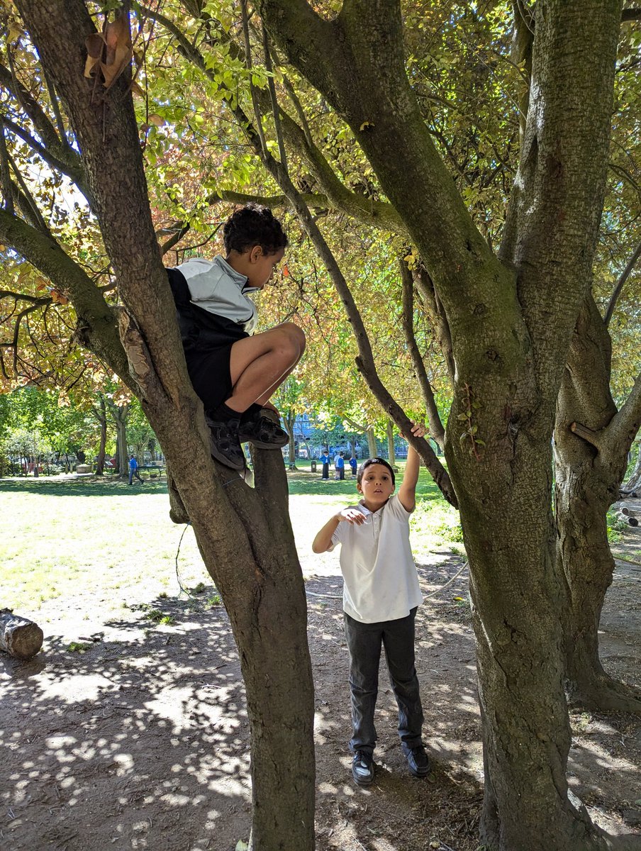 Moreland Primary School tweet media