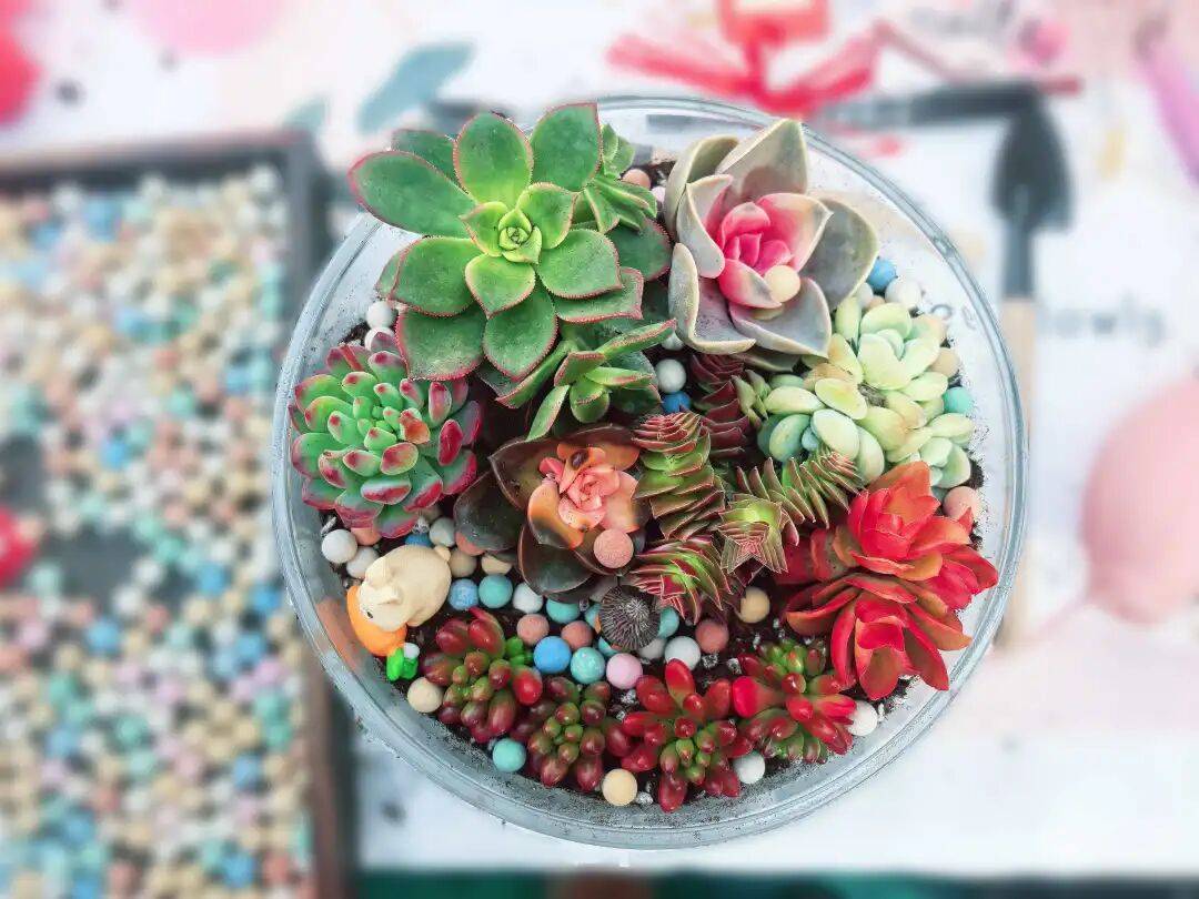 syl omolo tweet media