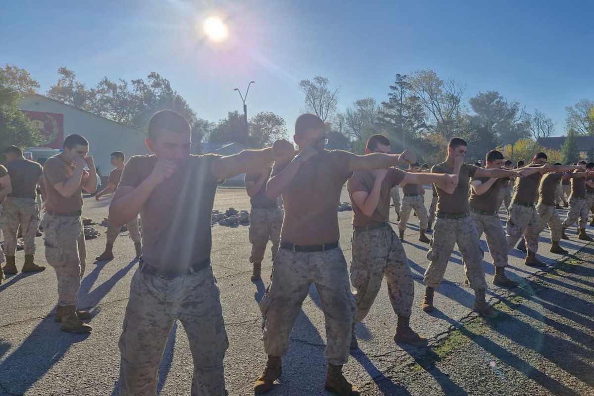 Ejército de Chile tweet media