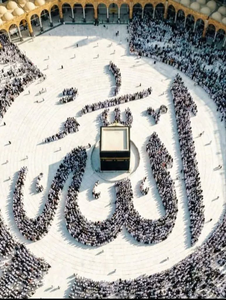 ⨳𝓟𝑇ℋ𝓐𝓝⨳ tweet media