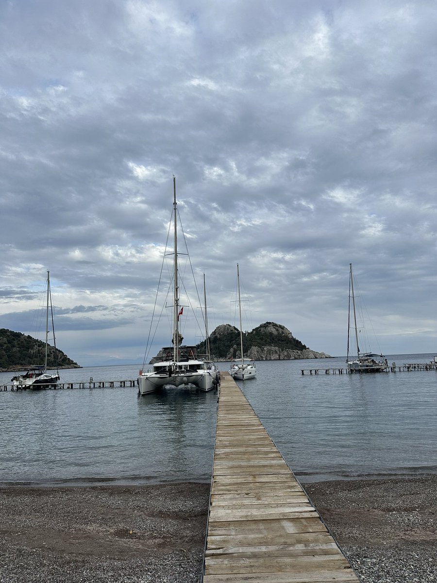 agenticn3rd tweet media