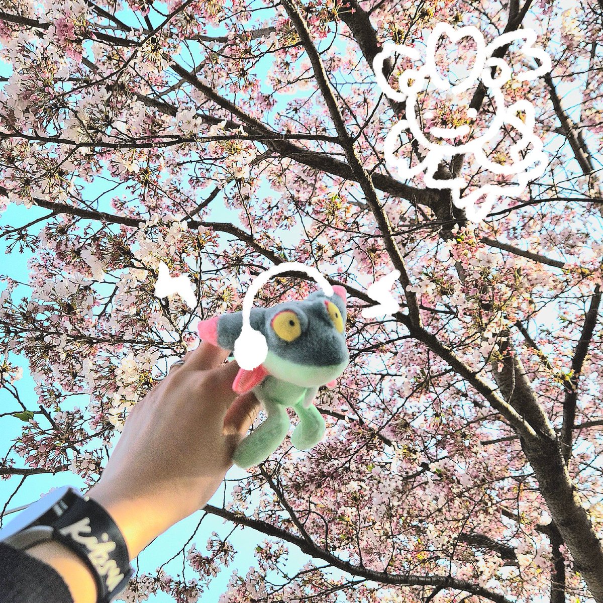 춍량 tweet media