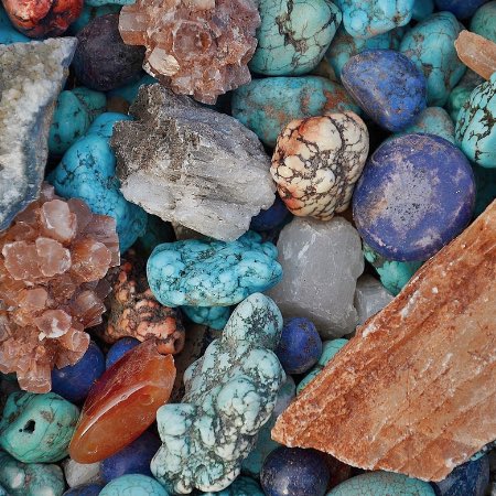 Whale Insider tweet media