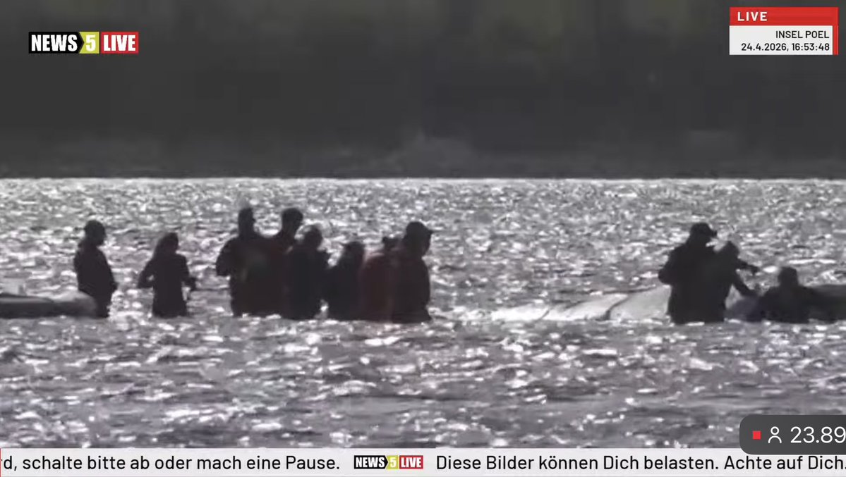 bordeauxrot tweet media