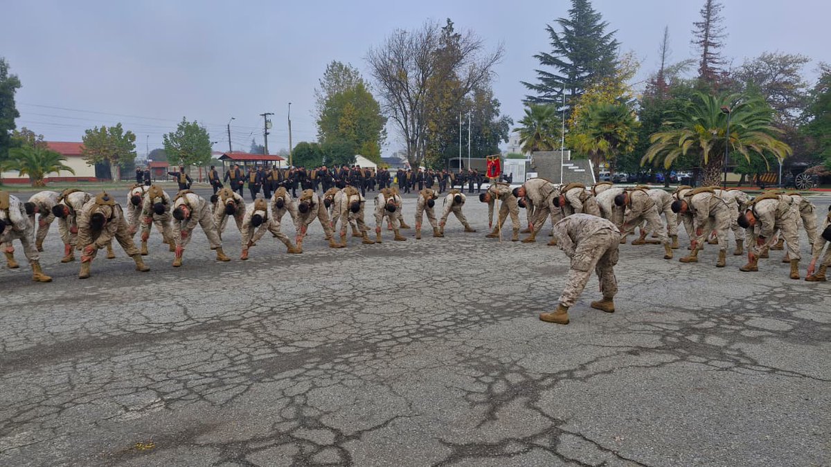 Ejército de Chile tweet media