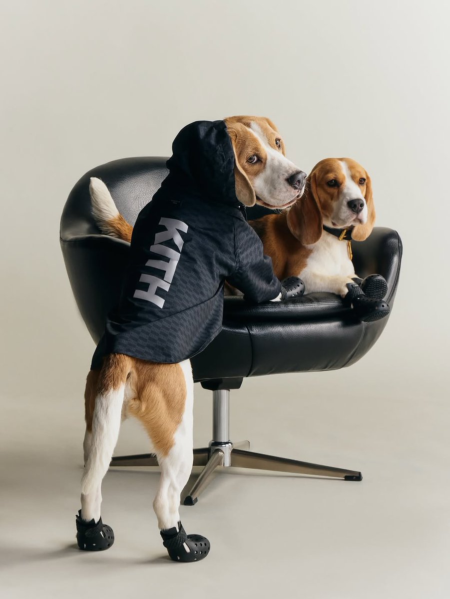 JustFreshKicks's tweet photo. Kith’s first-ever pet collection, designed in partnership with NYC-based brand wagwear 🐶

🗓️ April 27th https://t.co/5K7ZGavUEc