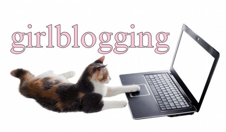 edchel :3 tweet media