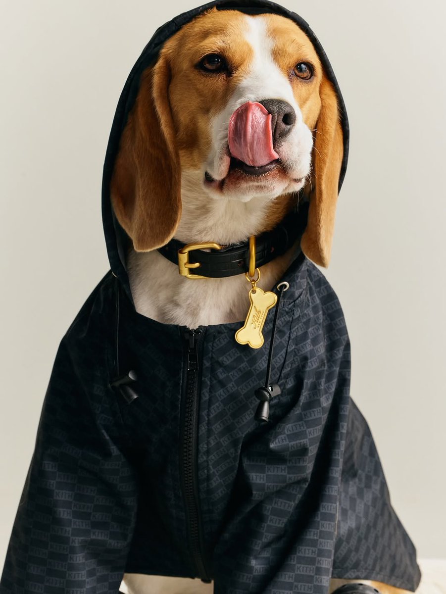 JustFreshKicks's tweet photo. Kith’s first-ever pet collection, designed in partnership with NYC-based brand wagwear 🐶

🗓️ April 27th https://t.co/5K7ZGavUEc
