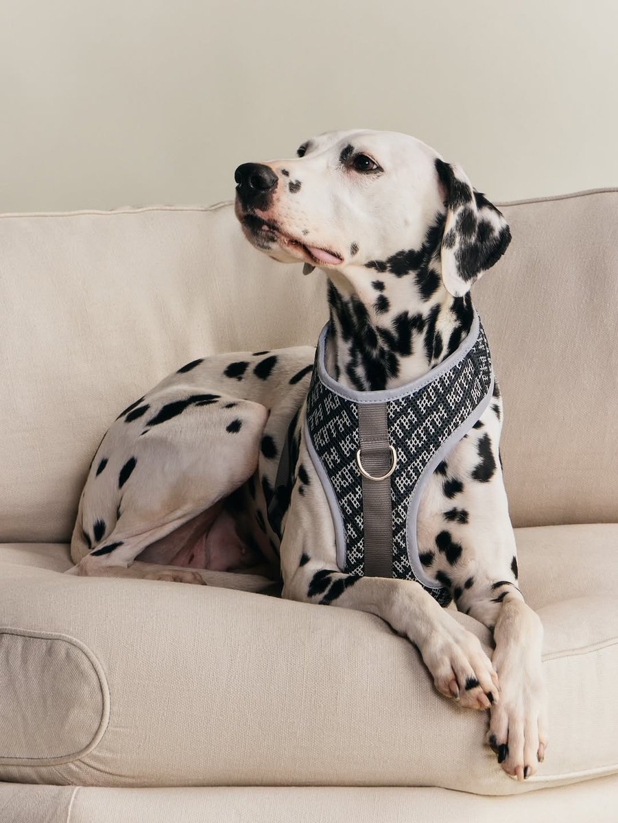 Kith’s first-ever pet collection, designed in partnership with NYC-based brand wagwear 🐶

🗓️ April 27th