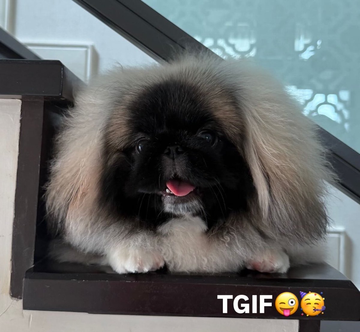 น้องแฝดหน้าตาน่ารักจัง