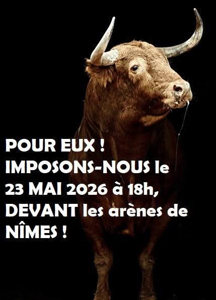 Adea Claude tweet media