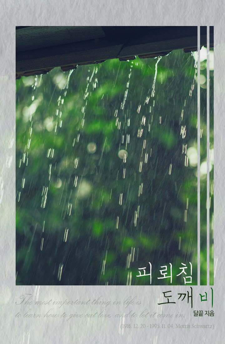 lalune_E's tweet photo. 📣<피뢰침 도깨비> 연재 시작합니다!
사별수×인외공의 치유? 힐링? 산장 라이프!
잘 부탁 드리겠습니다🙇‍♀️

조아라 : https://t.co/Lt5kRTvaiR
디리토 : https://t.co/0wjODlk1oO https://t.co/PEHIZanlYI
