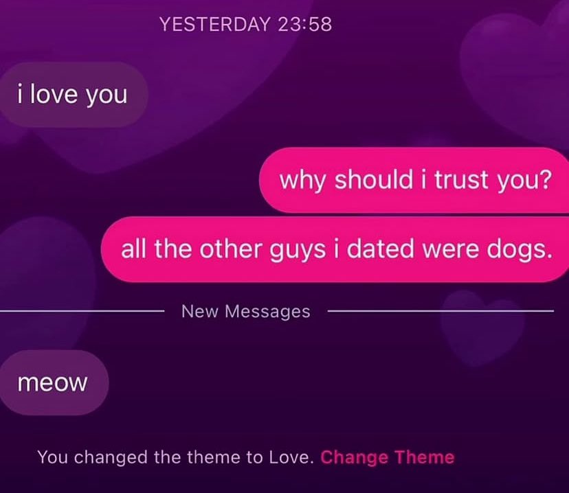 Follyyyy tweet media