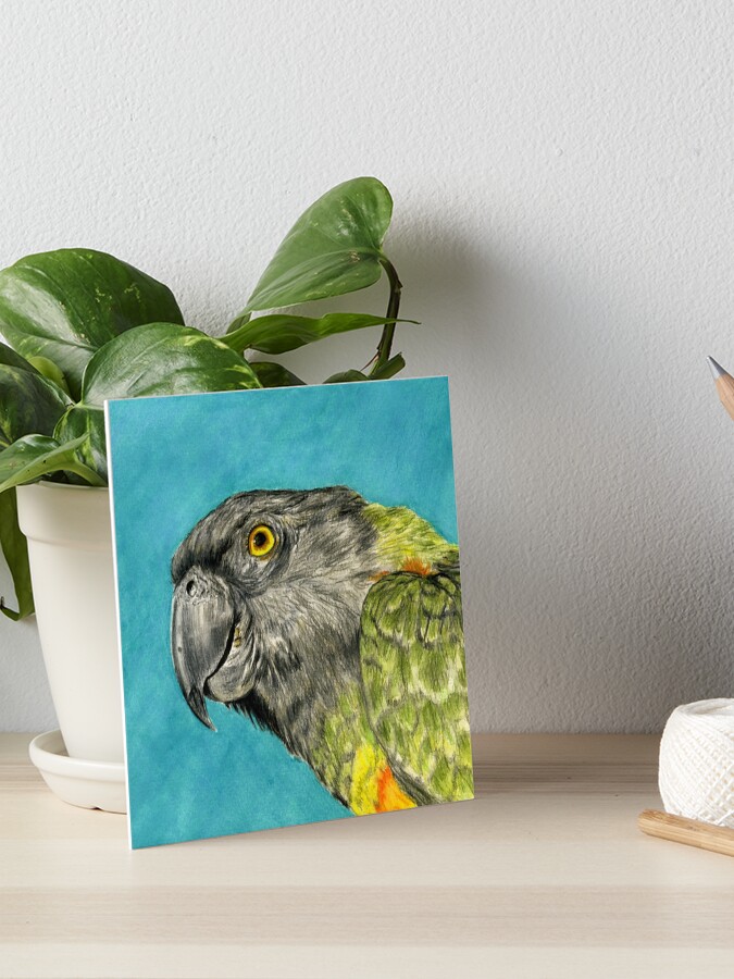 Lymphoma Lass tweet media