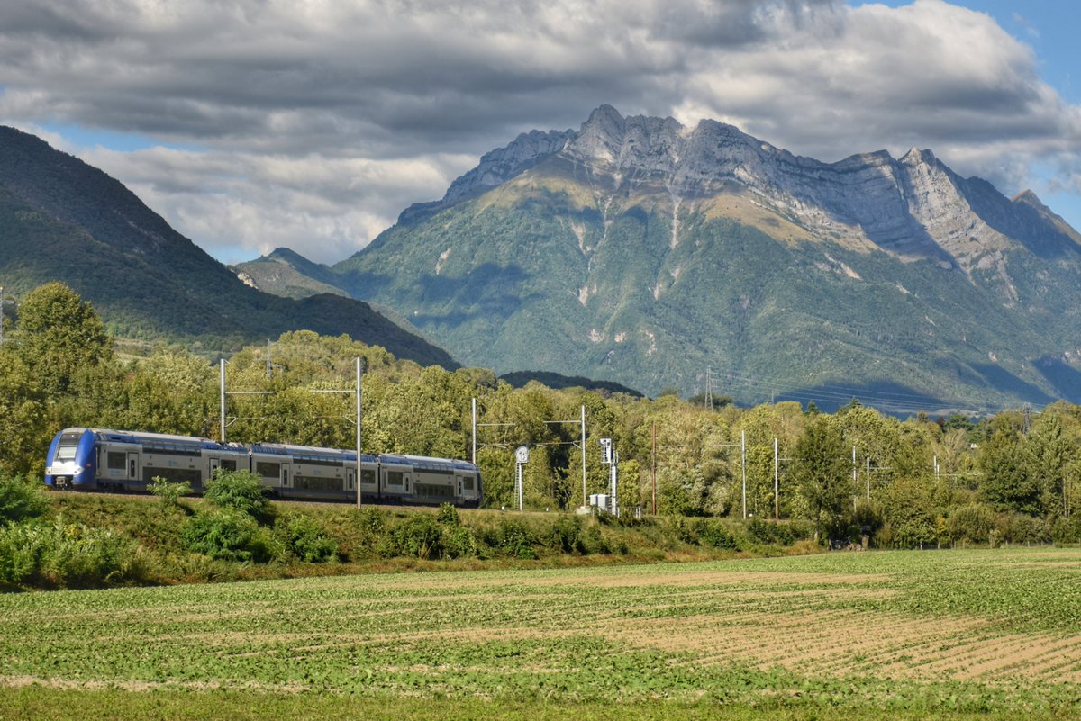 SNCFTERAURA's tweet photo. 🚦#FlashinfoTERAURA 17h : on note quelques retards pour des Lyon<>Chambéry, conséquence d'un souci sur un passage à niveau résolu.

Des ralentissements sur la ligne de Bourg-Saint-Maurice, à cause d'animaux près des voies.

Je vous informe jusqu'à 20h. https://t.co/ATrJ3fCexd