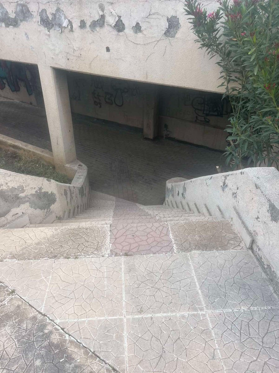 YiannisArmeftis's tweet image. 🧹Τις τελευταίες μέρες τα συνεργεία του Δήμου μας καθάρισαν εγκαταλελειμμένο κτήριο στην περιοχή γύρω από το Fysco Lotus Plaza, το οποίο για χρόνια βρισκόταν σε άθλια κατάσταση, γεμάτο τρωκτικά και σκουπίδια.

#limassol #limassolforall #YiannisArmeftis