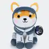 JeetJuggler's tweet photo. Asteroid The Space Shiba Inu 

$ASTEROID Bags one is sending rn but It's on pump

4ZfjmwcW1hurqCNyAA4yzPokqWC5vkit3GTpQ1dypump https://t.co/F0wUFHwqqr
