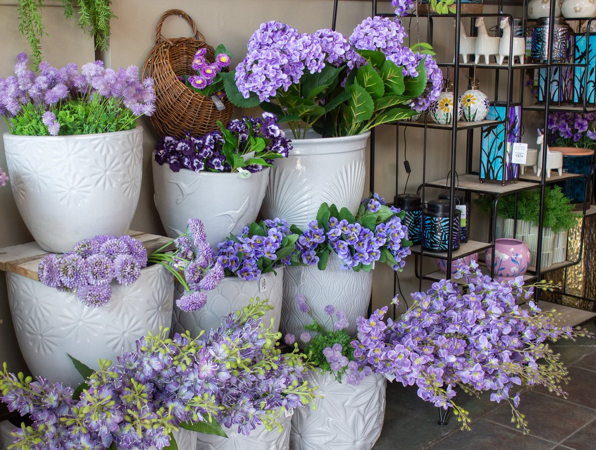 Lanoha Nurseries tweet media