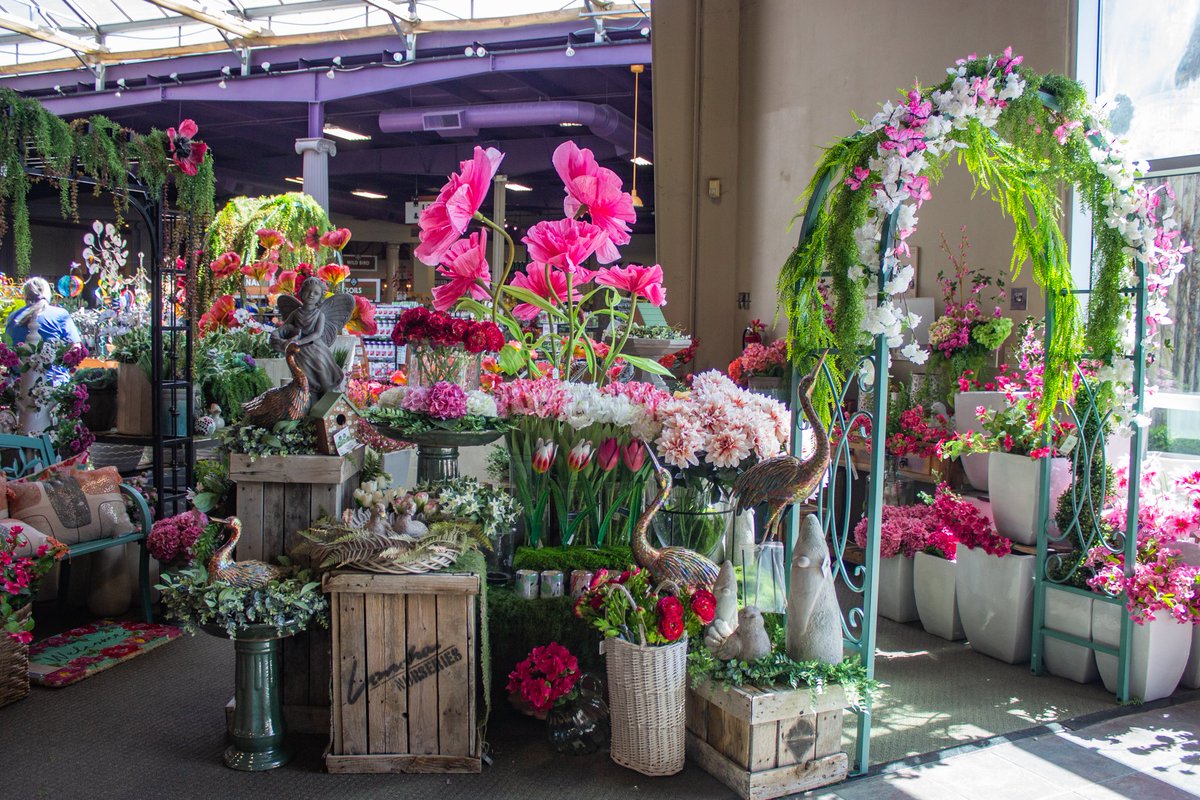 Lanoha Nurseries tweet media