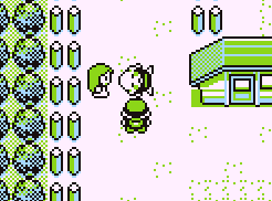 おせけん(オーキドせんせい研究者) tweet media